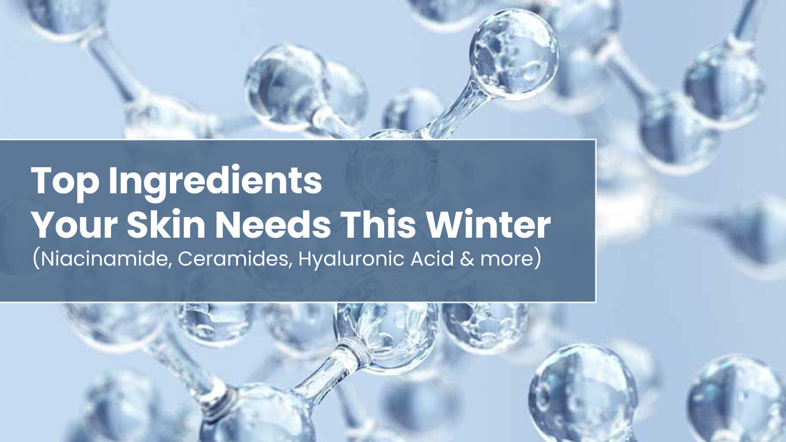 Top Ingredients Your Skin Needs This Winter (Ceramides, Hyaluronic Acid, Niacinamide & More)